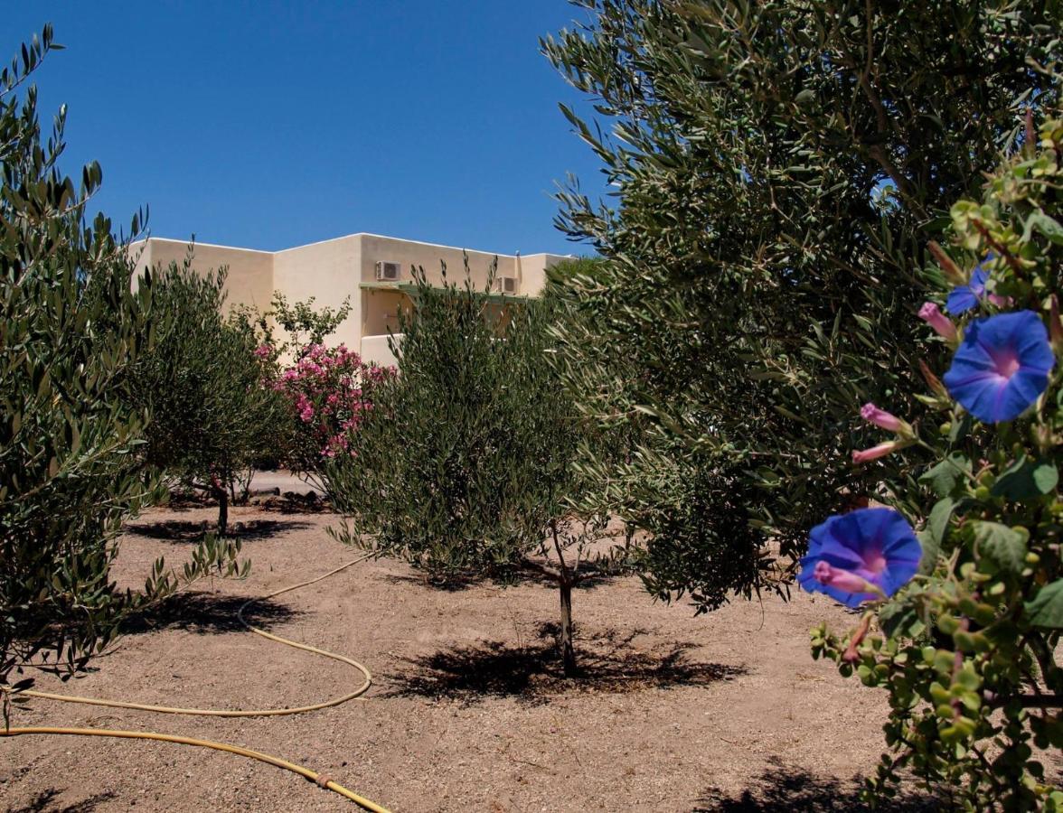 Flower And Crafts - The Eco Nature House Monolithos  Exterior photo