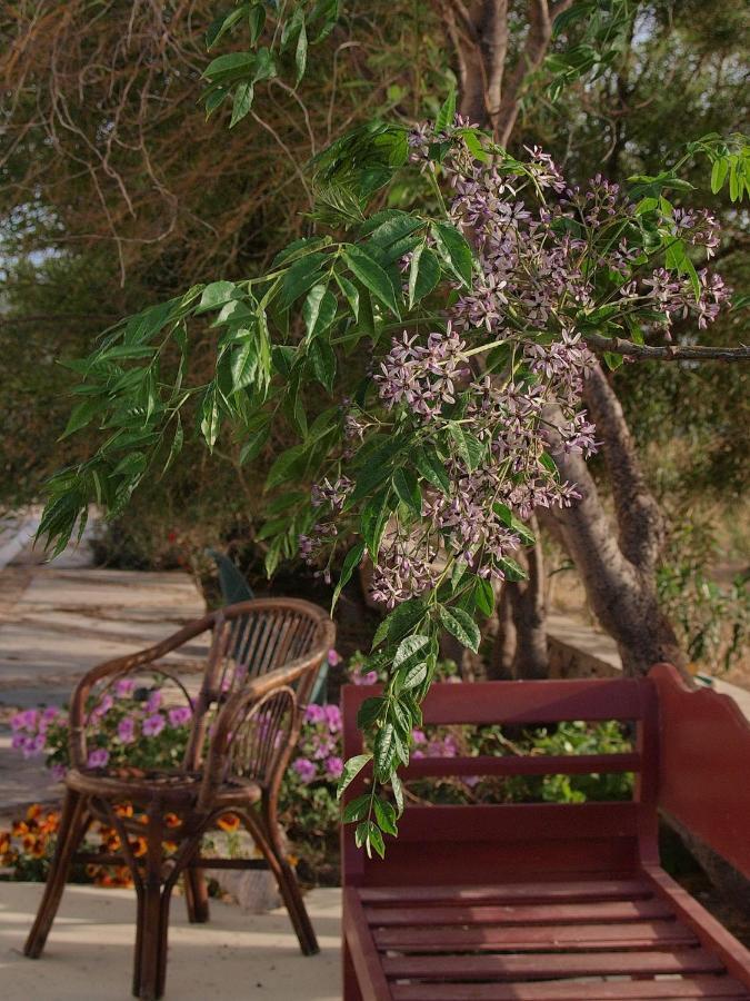 Flower And Crafts - The Eco Nature House Monolithos  Exterior photo